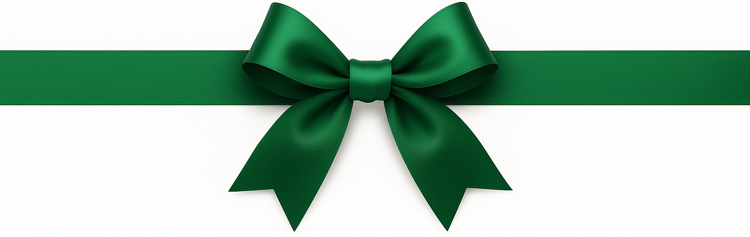 Bandeau festif de Noël actimag